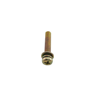 Ardisam M5 X 25MM Screw with Washer (300438)