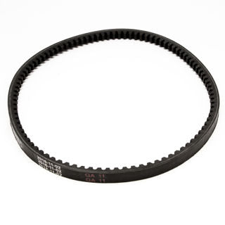 Ardisam Cogged Belt for Earthquake (24021)