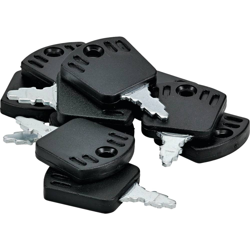 10 Indak Ignition Key Shop Pack Briggs & Stratton 1717163SM (Stens 430-509-10)