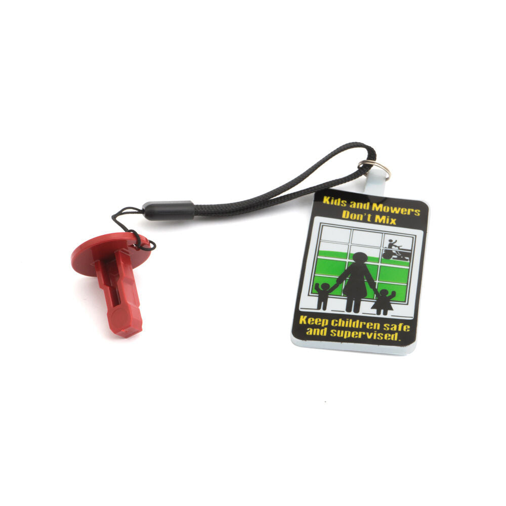 MTD Zero Turn Mower PBS Key - 725-06779C