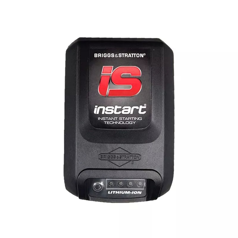 Briggs & Stratton Battery (597187)