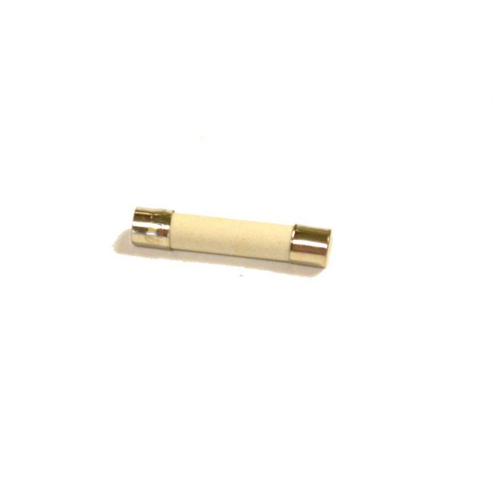 Heat Wagon 20 Amp Fuse, DF400, DF600, DG400, E10313
