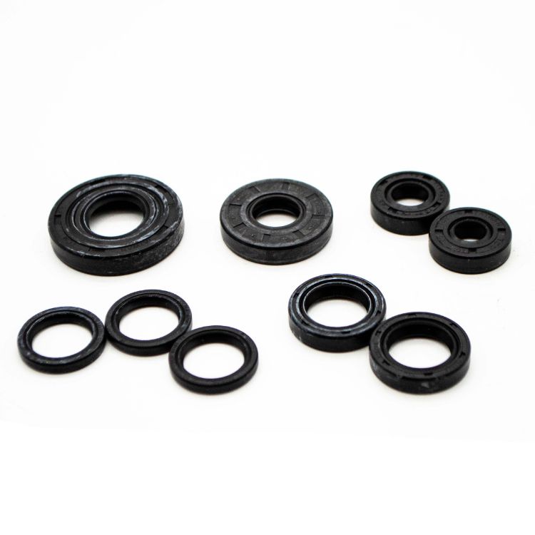 Hydro Gear Riding Mower Seal Kit (70312)