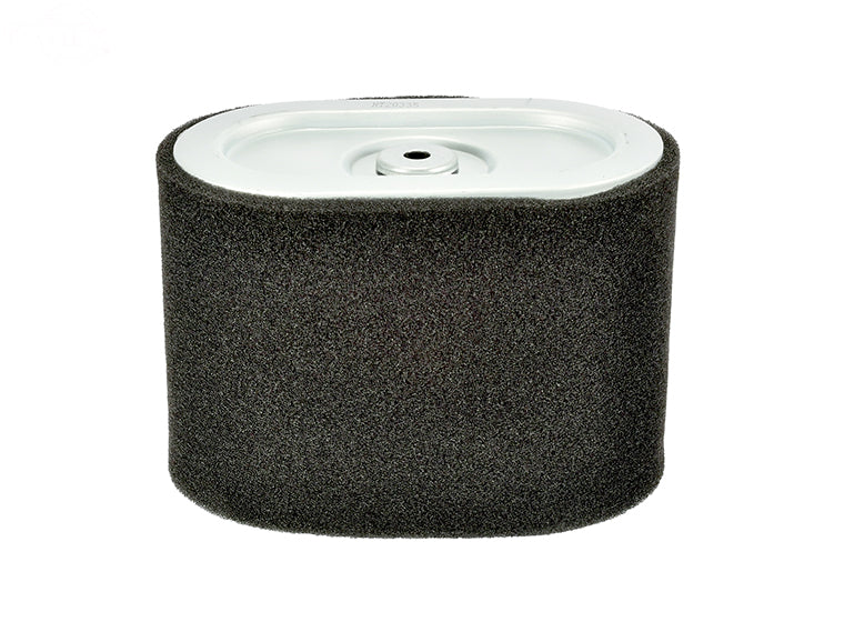 Air Filter Combo For Briggs & Stratton Rotary (11955)