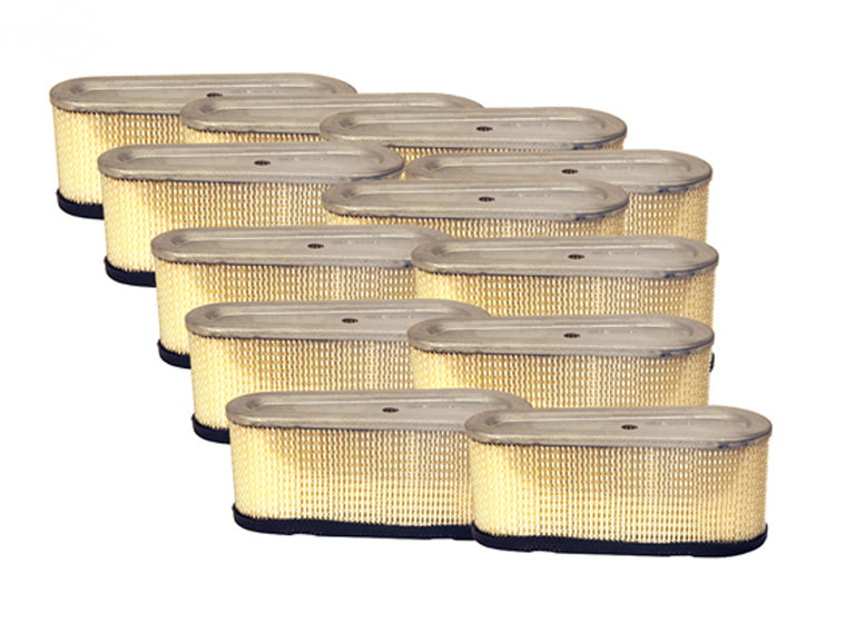 Pack of 12 Replacement Filters For Briggs & Stratton 493909 Rotary (12936)