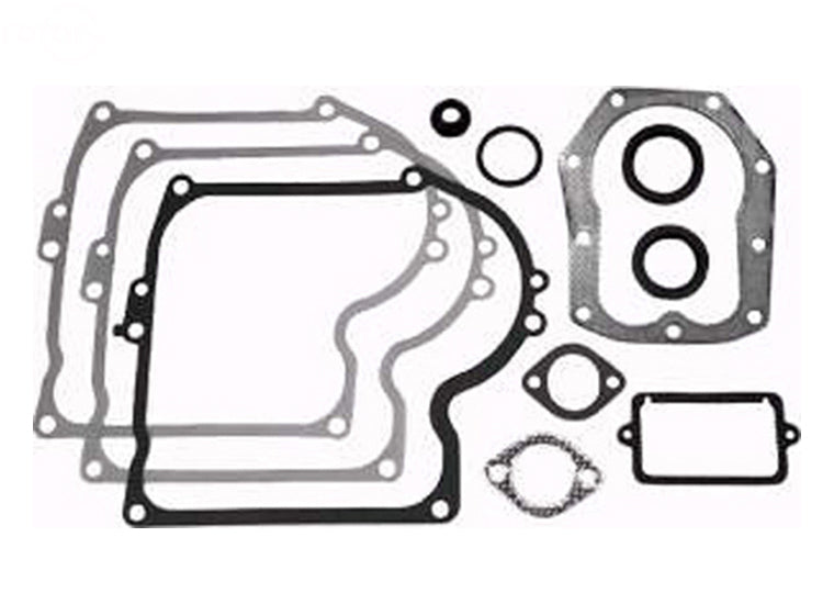 Gasket Set For Briggs & Stratton Rotary (8951)