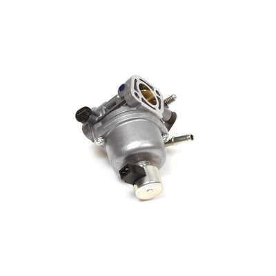 Briggs & Stratton Carburetor (699807)