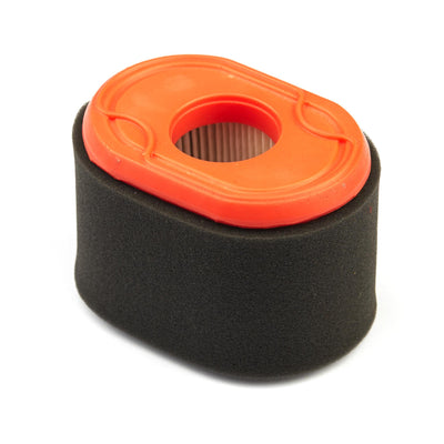Briggs & Stratton Air Filter Cleaner CA (796970)