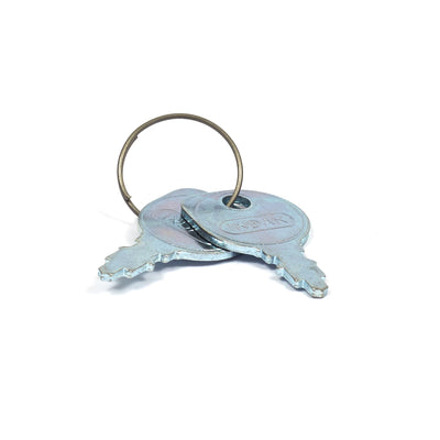 Briggs & Stratton Ignition Key Pair (7011138YP)