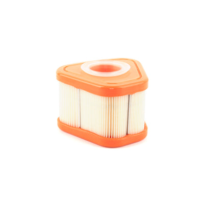 Briggs & Stratton Air Filter (595853)