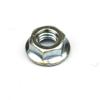 Briggs & Stratton Nut (790561)
