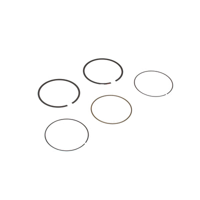 Briggs & Stratton Ring Set (594437)