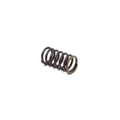 Briggs & Stratton Valve Spring (692084)