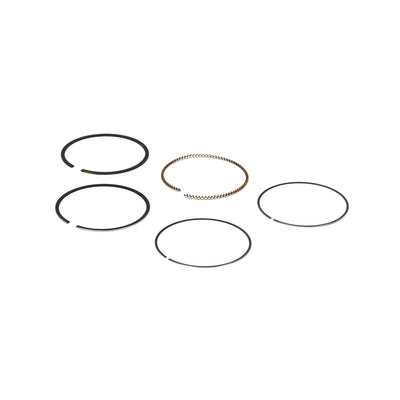 Briggs & Stratton Ring Set (795431)