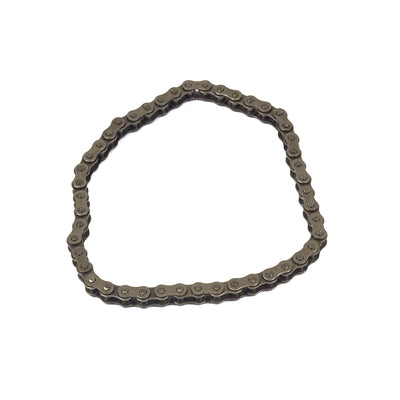 Briggs & Stratton Chaincase Chain (7010941YP)