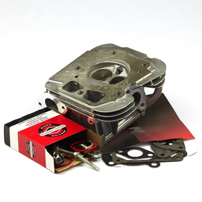 Briggs & Stratton Cylinder Head (84001918)