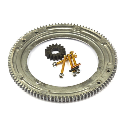 Briggs & Stratton Ring Gear (696537)
