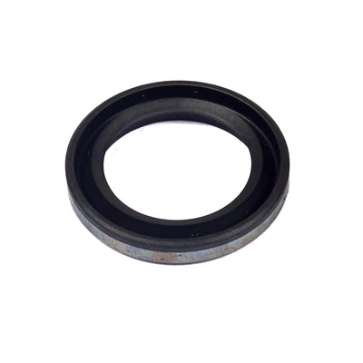Briggs & Stratton Oil Seal (299819S)