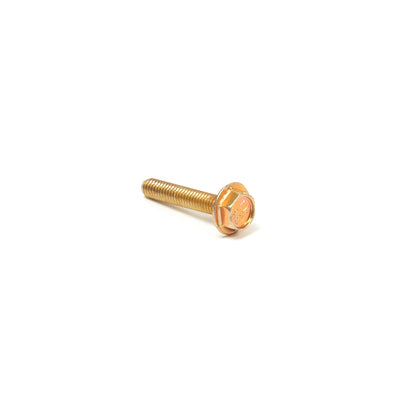 Briggs & Stratton Screw (699477)