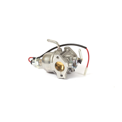 Briggs & Stratton Carburetor (825656)