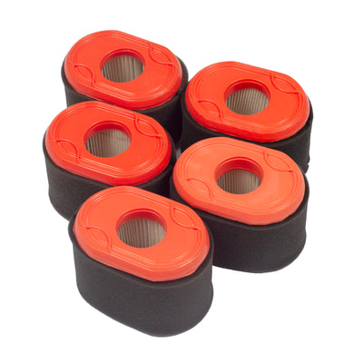 Briggs & Stratton Air Filter (5 X 796970) (4238)