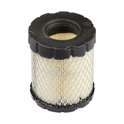 Briggs & Stratton Air Filter Cleaner CA (798897)