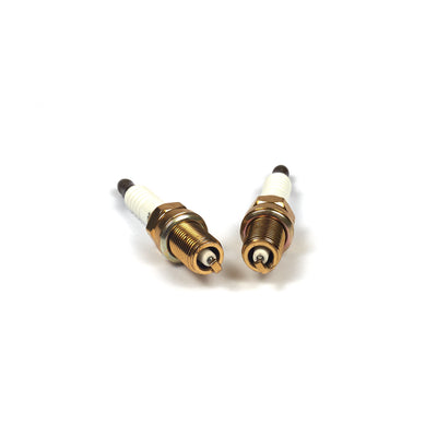 Briggs & Stratton Spark Plug 2 Pack (5420K)