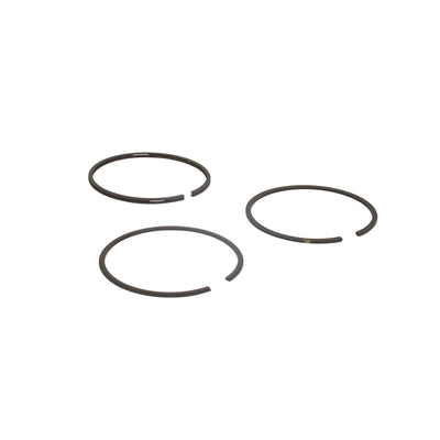 Briggs & Stratton Ring Set-025 (555487)