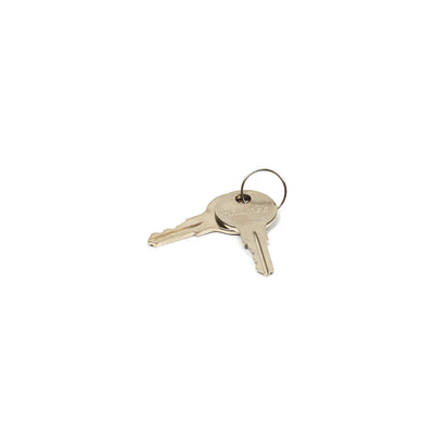 Briggs & Stratton Latch Key (314290GS)