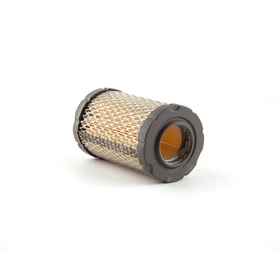 Briggs & Stratton Air Filter Cleaner CA (797427)