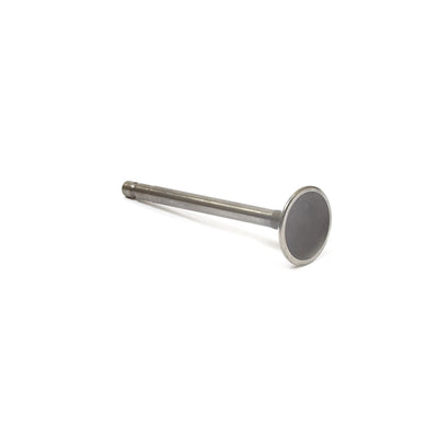 Briggs & Stratton Intake Valve (557017)