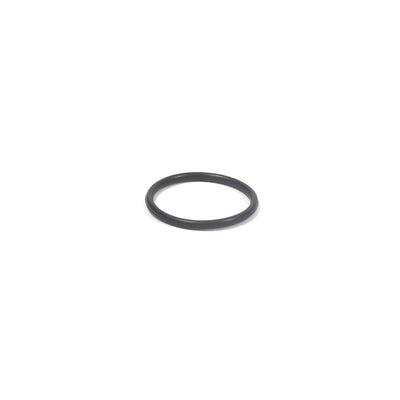 Briggs & Stratton O-Ring Seal (557007)