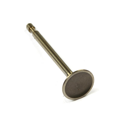 Briggs & Stratton Intake Valve (590393)