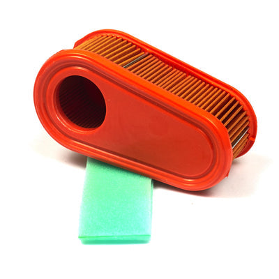Briggs & Stratton Air Filter With Pre Cleaner (5419K)