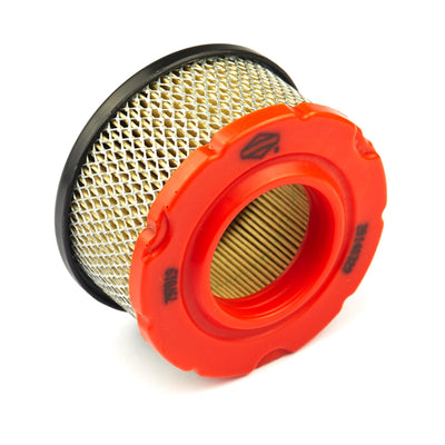 Briggs & Stratton Air Filter Cleaner CA (797819)