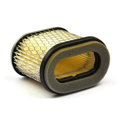 Briggs & Stratton Air Cleaner Filter Cartridge (692446)