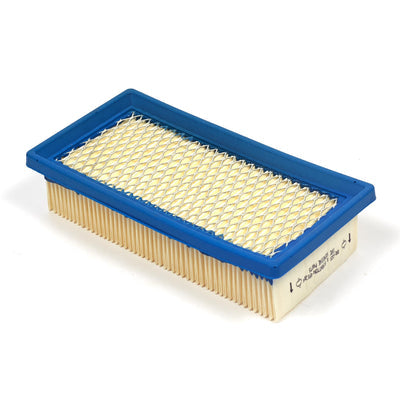 Briggs & Stratton Air Cleaner Filter Cartridge (491384)