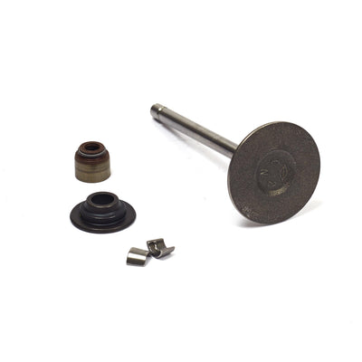 Briggs & Stratton Intake Valve (843730)