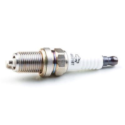 Briggs & Stratton Spark Plug (798615)