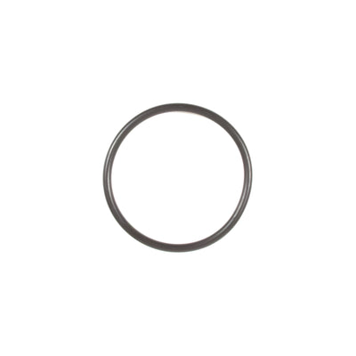 Briggs & Stratton O-Ring Seal (697123)