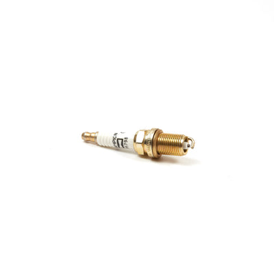 Briggs & Stratton Spark Plug (793541)