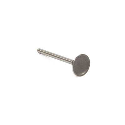Briggs & Stratton Intake Valve (555551)