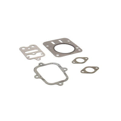 Briggs & Stratton Valve Gasket Set (555636)