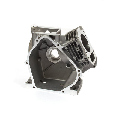 Briggs & Stratton Cylinder Assembly (555705)