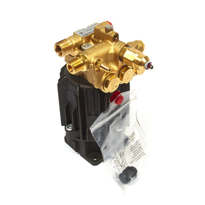 Briggs & Stratton Pump (202005GS)