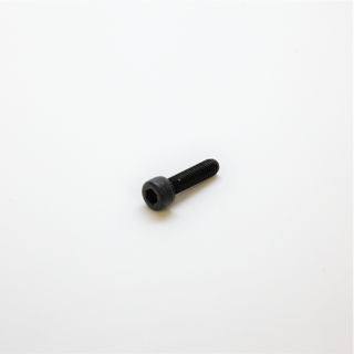 Ardisam M5 X 25 Bolt (S1010)
