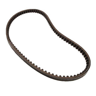 Ardisam Cultivator Cogged Belt for Versa and Tazz 20015, 25780, 24734 (20343)