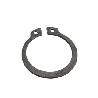 Ardisam Snap Ring (20138)