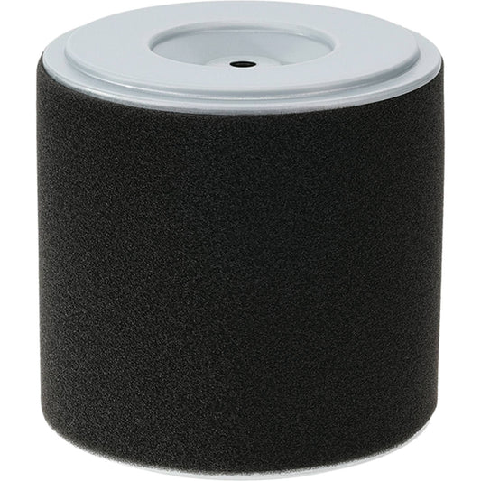 Stens Air Filter Combo Honda 17210-Z1C-781 (Stens 100-901)