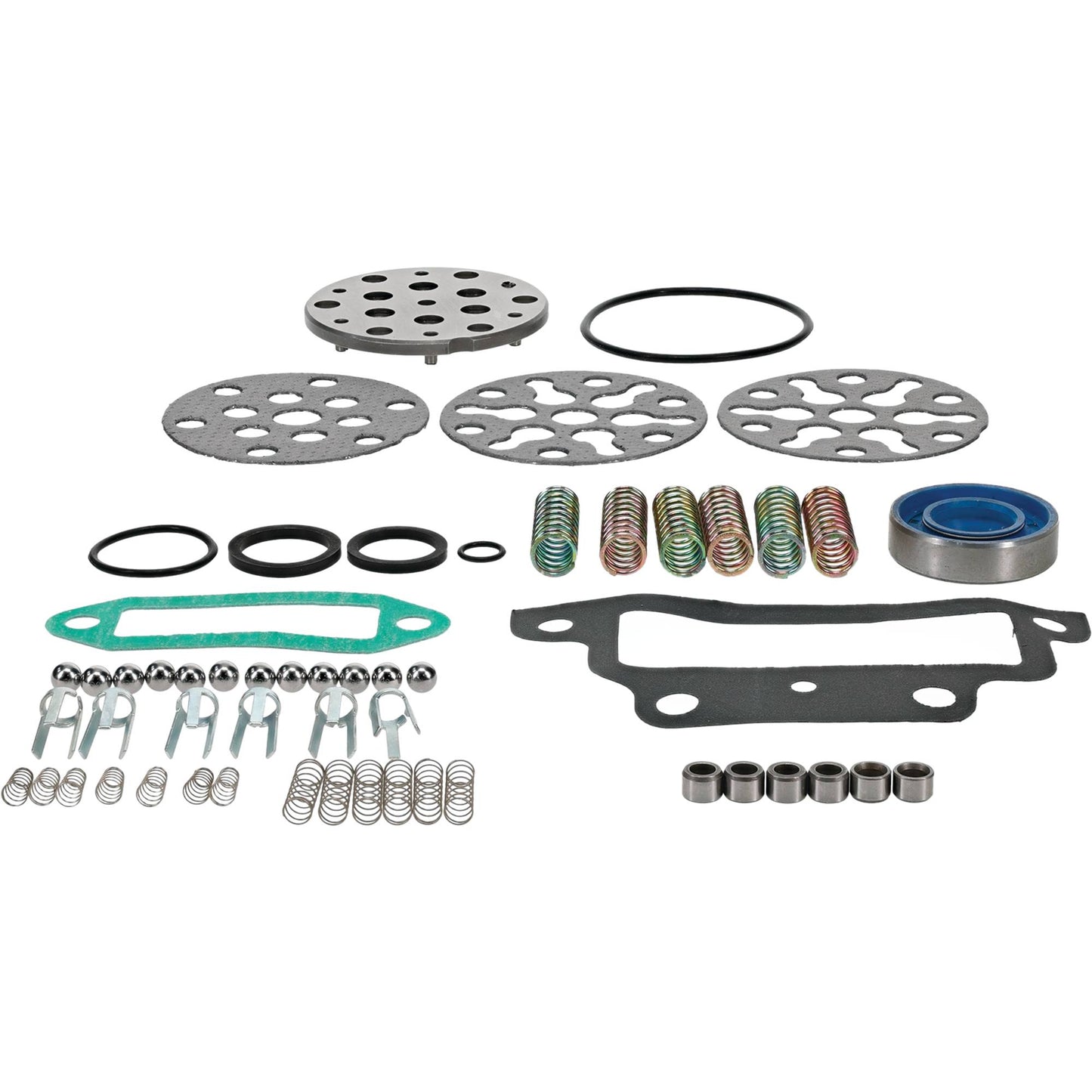 Atlantic Quality Parts Hydraulic Pump Repair Kit Ford/New Holland CCPN600AB (Stens 1101-0091)